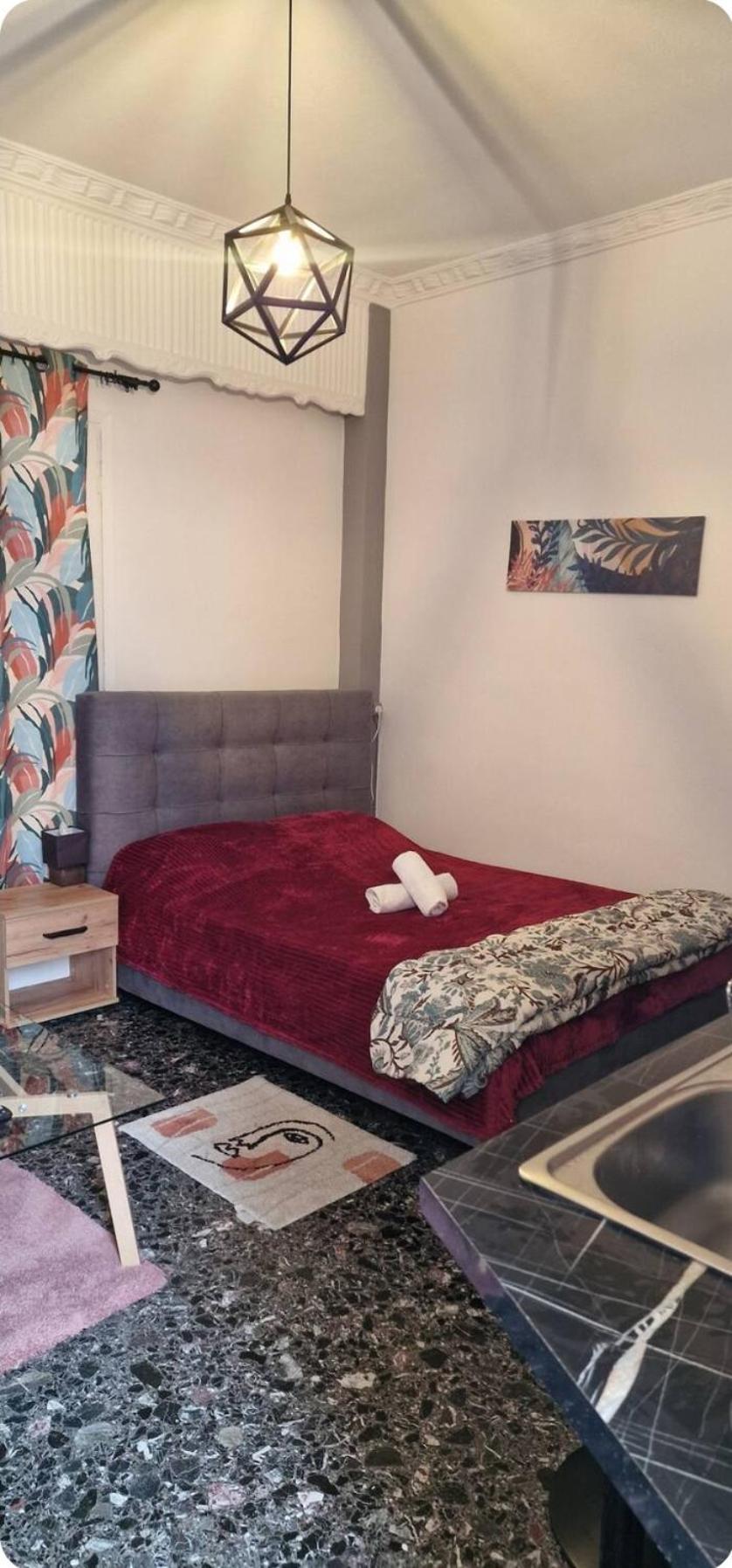 Apartment Terrace δώμα At Nikaia Metro I χρήση ταράτσας